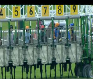 Video preview image for Galway 17:00 - Win Big With Tote (Q.R.) Maiden