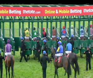 Video preview image for Galway 17:30 - Jpk Fencing Handicap