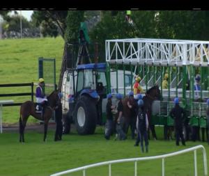 Video preview image for Galway 18:50 - Guinness (Premier Handicap)