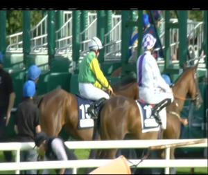 Video preview image for Galway 19:05 - Caulfield Industrial Irish European Breeders Fund Maiden 