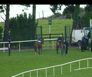 Video preview image for Galway 19:25 - Guinness Irish European Breeders Fund Fillies Maiden 