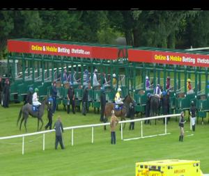 Video preview image for Gowran Park 18:30 - Irish Stallion Farms European Breeders Fund Hurry Harriet Stakes (Listed)