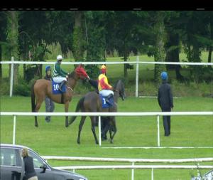 Video preview image for Gowran Park 19:00 - Irish Stallion Farms European Breeders Fund Fillies Handicap