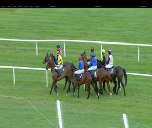 Video preview image for Kilbeggan 20:30 - Book Online For Discounts Flat Race