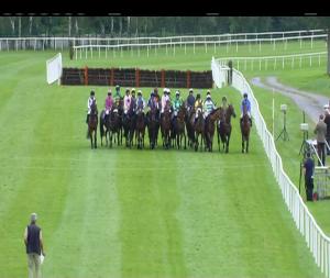 Video preview image for Killarney 14:35 - Mcsweeney Arms Hotel Handicap Hurdle