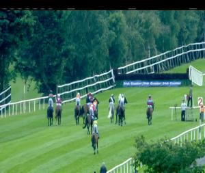 Video preview image for Killarney 16:20 - Msl Cork Mercedes-Benz Handicap Chase (Grade B)