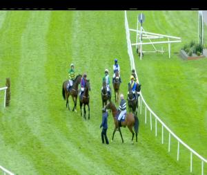 Video preview image for Killarney 16:55 - Joc Metal Fabrication (Pro/Am) I.N.H. Flat 