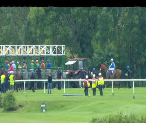 Video preview image for Killarney 17:30 - Laurels Pub & Restaurant Kingdom Gold Cup (Premier Handicap)