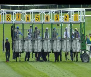 Video preview image for Killarney 17:50 - Easy Clean Limited Handicap