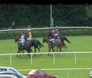 Video preview image for Killarney 19:00 - Owens McCarthy Claims Specialists Handicap Chase