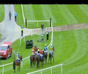 Video preview image for Killarney 19:10 - Seamus Mulvaney Bookmakers 3-y-o Hurdle 