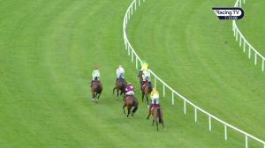 Video preview image for Limerick 19:10 - Sign Up For A Tote Account Beginners Chase 