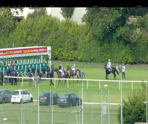 Video preview image for Leopardstown 17:15 - Irish Stallion Farms European Breeders Fund Maiden