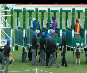 Video preview image for Leopardstown 20:25 - Leopardstown Members Club Maiden