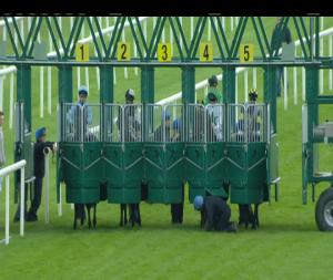 Video preview image for Roscommon 19:00 - Peggy Guerin Memorial Handicap