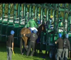 Video preview image for Roscommon 19:10 - Michael Holland Tyres Handicap 