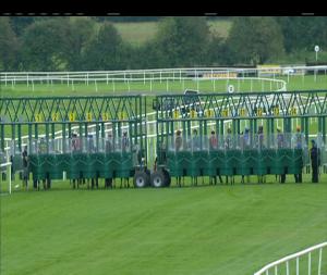 Video preview image for Roscommon 19:30 - Pyramid Bookmakers Handicap 