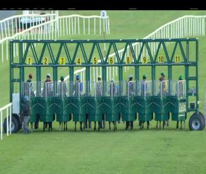 Video preview image for Roscommon 20:10 - Class Grass Handicap 