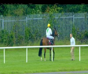 Video preview image for Sligo 19:10 - Adare Manor Opportunity Maiden Hurdle