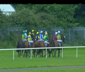 Video preview image for Sligo 19:40 - Boylesports Handicap Hurdle