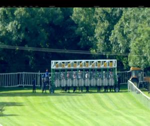 Video preview image for Tipperary 17:20 - Foran Equine Irish European Breeders Fund Auction Fillies Maiden
