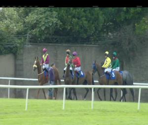 Video preview image for Tramore 17:20 - Perennial Freight Rated