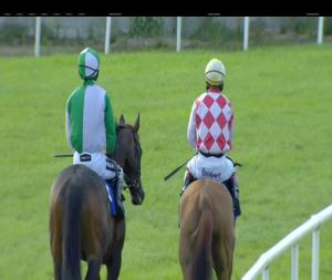 Video preview image for Tramore 18:50 - Strand Inn Handicap 