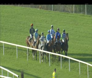 Video preview image for Tramore 19:20 - Waterford & Tramore Racecourse Supporters Club Rated Novice Hurdle