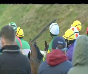 Video preview image for Tramore 19:45 - www.seednecessities.com Handicap Hurdle