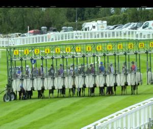 Video preview image for Ballinrobe 17:20 - On-Course Vets Fillies Maiden