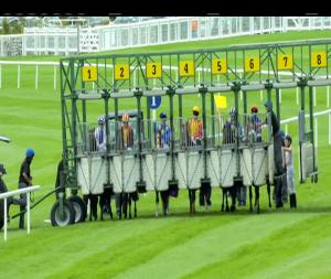 Video preview image for Ballinrobe 17:50 - Burleigh Accountancy Irish European Breeders Fund Handicap