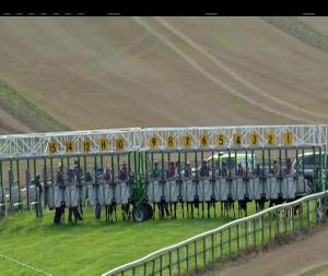 Video preview image for Bellewstown 18:05 - Peter O'Keeffe Memorial Maiden