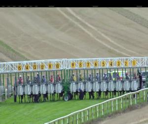 Video preview image for Bellewstown 18:35 - Holcroft Peugeot Drogheda Handicap