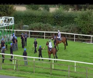 Video preview image for Bellewstown 19:05 - Thatch Bar and Restaurant Handicap