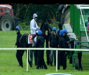 Video preview image for Cork 13:15 - Irish Stallion Farms European Breeders Fund Fillies Maiden