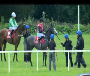 Video preview image for Cork 13:50 - Irish Stallion Farms European Breeders Fund (C & G) Maiden