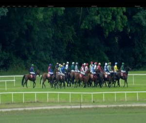 Video preview image for Cork 14:05 - Follow Us On Twitter Mares Maiden Hurdle