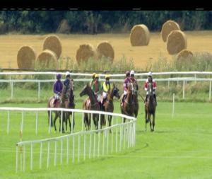 Video preview image for Cork 15:05 - Joe Walsh Memorial Hurdle