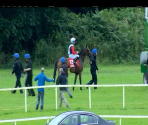 Video preview image for Cork 16:40 - Follow Us On Twitter Handicap
