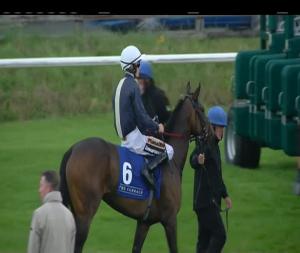 Video preview image for Curragh 13:55 - Irish Stallion Farms European Breeders Fund Maiden