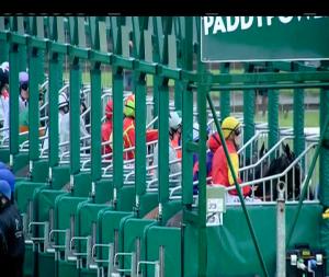 Video preview image for Curragh 14:25 - Anglesey Lodge Equine Hospital Irish European Breeders Fund Maiden