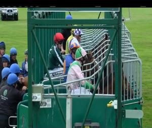 Video preview image for Curragh 15:40 - Manguard Plus Royal Whip Stakes (Group 3)