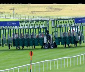 Video preview image for Curragh 16:45 - Curragh Training Grounds Handicap