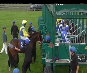Video preview image for Curragh 17:15 - Sensational Kids Handicap