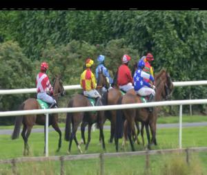 Video preview image for Downpatrick 14:40 - Major William Brownlow Memorial Rated Hurdle