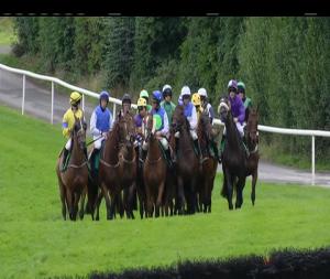Video preview image for Downpatrick 16:55 - Molson Coors Handicap Hurdle 