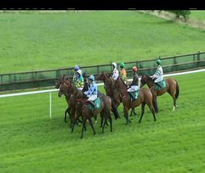 Video preview image for Downpatrick 15:55 - Dr. E.F. Logan Obe Memorial Giltspur Scientific Handicap Hurdle