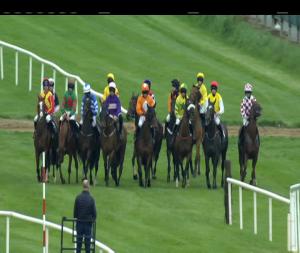 Video preview image for Down Royal 17:10 - Dale Farm Dromona Mares Maiden Hurdle 