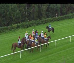 Video preview image for Down Royal 18:10 - Pepsico Maiden Hurdle