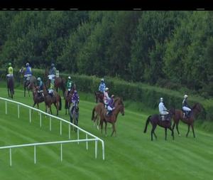 Video preview image for Down Royal 19:10 - Kerry Foods Handicap Hurdle 